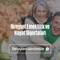 Bireysel Emeklilk Hayat Sigortaları